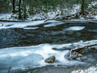 WATCH: Vermont Man Saves Drowning Dog from Icy River