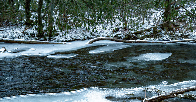 WATCH: Vermont Man Saves Drowning Dog from Icy River