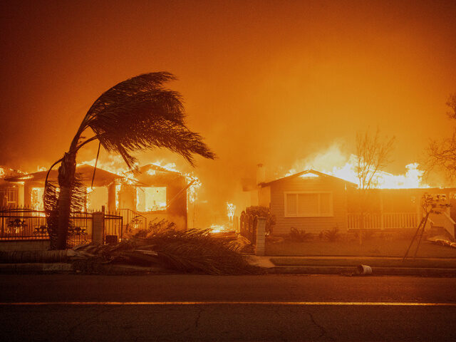 L.A. Man Saves 8 Altadena Neighborhood Homes from Wildfires