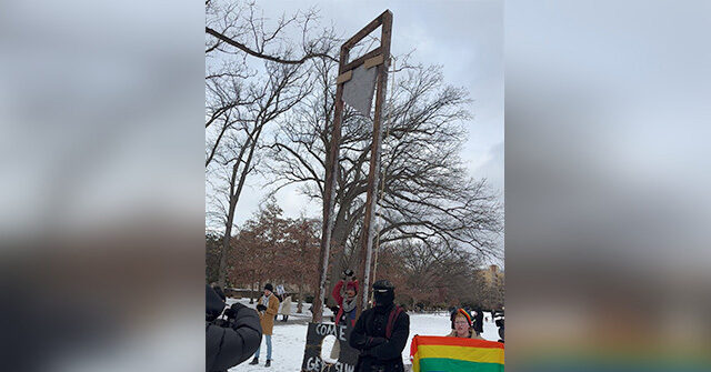 WATCH: Anti-Trump Protesters Erect Mock Guillotine on Inauguration Day