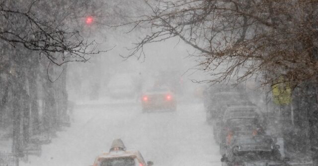 'Polar Vortex' Set to Hit NYC May Drop Up to Six Inches of Snow