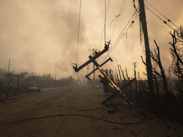 CALIFORNIA, UNITED STATES - JANUARY 8: A burnt down utility line from the Eaton Fire that