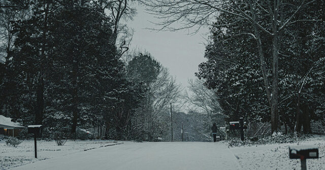 Ohio Woman Freezes to Death While Letting Dog Outside