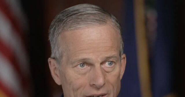 Thune Questions if It Is 'Realistic' to Deport Everybody in the Country Illegally