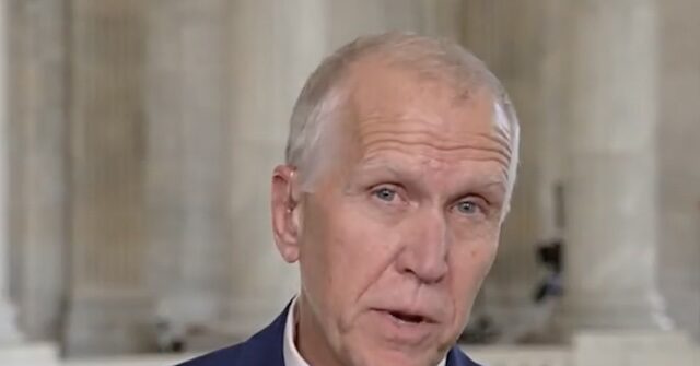 Tillis: Dem Senators Took 'a Lot of Cheap Shots' at Kash Patel