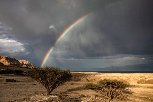 The Dead Sea has been dying for years