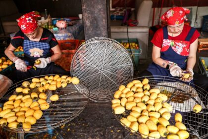 Persimmons are popular in Taiwan but changing weather and an ageing population are posing