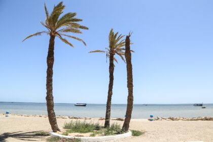 The rescued and dead migrants were found off Tunisia's Kerkennah Islands