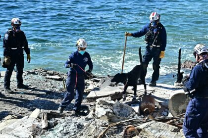 A search dog can cover a collapsed house in five minutes, doing a job that would take five