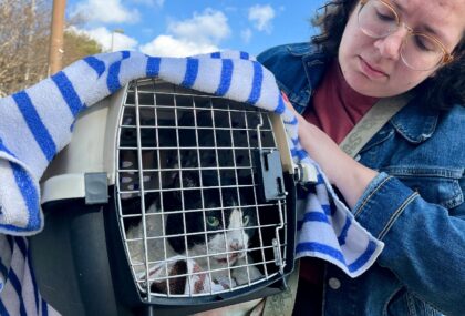 Serena Null recovers her cat Domino, which suffered burns in the wildfire that destroyed h