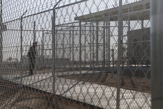 Immigration Child Custody The Associated Press