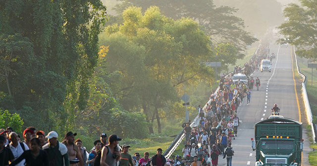 Trump Deputies Stop Funding Free Lawyers for Migrant Youths