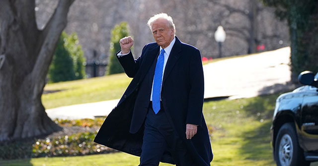 Poll: Americans Say 'Tough' and 'Energetic' Trump Doing What He Promised in Campaign