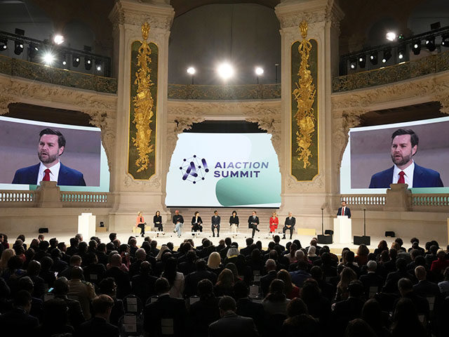 United States Vice-President JD Vance addresses the audience at the Grand Palais during th