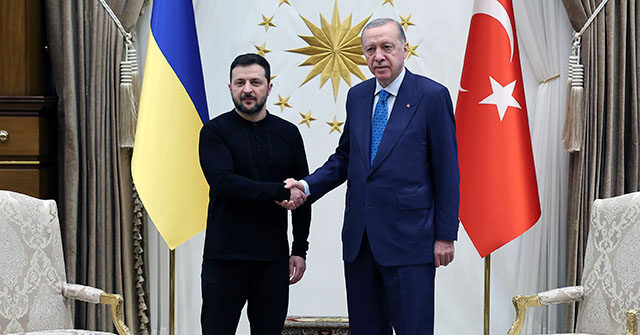 Turkey Takes Up Mantle of Top Ukraine Supporter amid Trump-Zelensky Feud