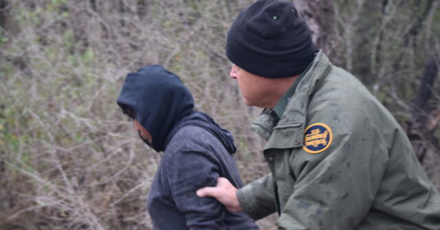 Salvadoran Woman Sentenced for Assaulting Border Patrol Agent Along Border in New Mexico
