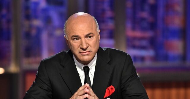 NextImg:Kevin O'Leary Dismisses CNN DOGE Freakout: 'Keep Slashing... Cut, Cut, Cut, Cut, Cut!'