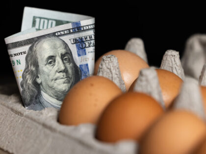 concept image using USA currency and fresh eggs for the price of eggs in 2023