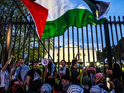 Demonstrators gather outside the White House during the National March on Washington for P