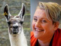 Lefty Lunacy: UK Health Minister Defended People Identifying as Llamas