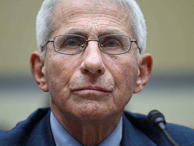 Contract for Anthony Fauci Exhibit Canceled Amid Waste Review