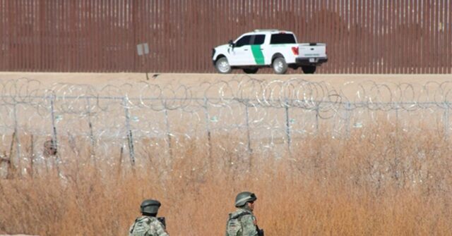Border Patrol Chief: Mexico 'Put a Lot of' Troops on Border, That's Contributed to Record Low Numbers