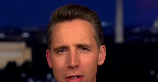 Hawley: Tulsi Gabbard's 'Sin' Is She Challenged the Surveillance State