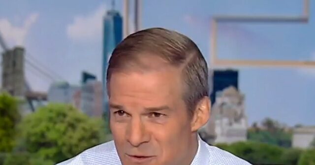 Jim Jordan: Democrat Trump Impeachment Lawyer Dan Goldman Not 'Good Enough for the Radical Left'