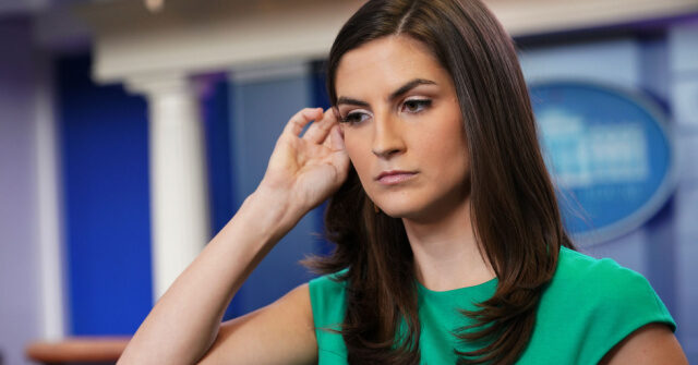 Trump Hushes CNN's Kaitlan Collins: 'We Haven't Asked You to Speak'