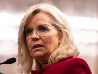 Nolte: Liz Cheney Launches Xenophobic Attack on Elon Musk