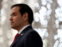 Marco Rubio Backs Trump’s Gaza Plan: ‘President’s Plan Is the Only One’ Out