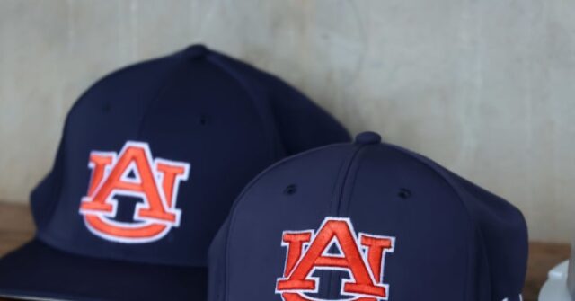 Auburn Baseball Star Hits Home Run Hours After Mother Died