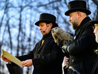 Groundhog Day Gloom: Punxsutawney Phil Says More Winter Ahead