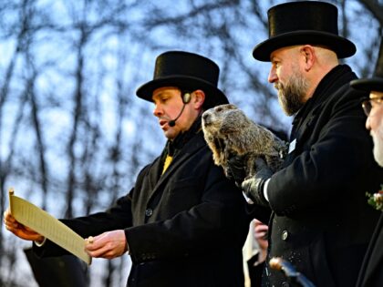 PUNXSUTAWNEY, PENNSYLVANIA - FEBRUARY 2: Handler AJ Dereume holds Punxsutawney Phil after