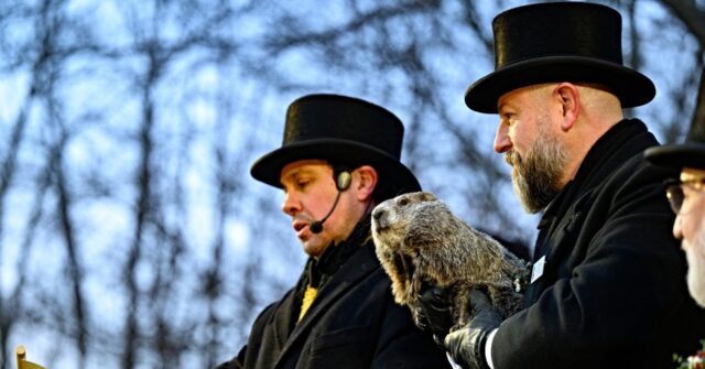 Groundhog Day Gloom: Punxsutawney Phil Says More Winter Ahead
