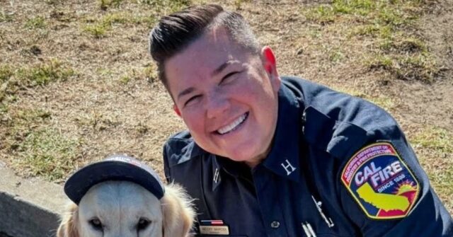 Cal Fire Captain Allegedly Murdered by Wife Who Fled to Mexico