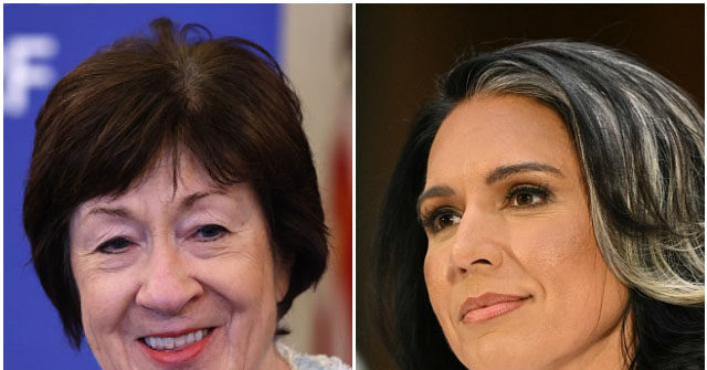 Sen. Susan Collins Backs Tulsi Gabbard Confirmation for DNI