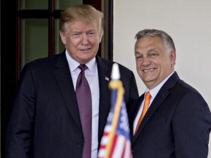 U.S. President Donald Trump, left, and Viktor Orban, Hungary's prime minister, stand