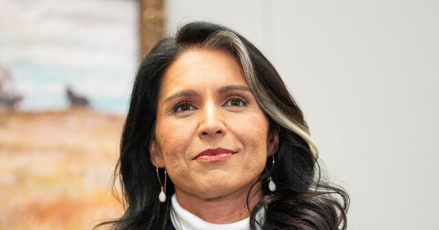 Exclusive&mdash;Gabbard Saves $20 Million a Year by Killing DEI in Intelligence