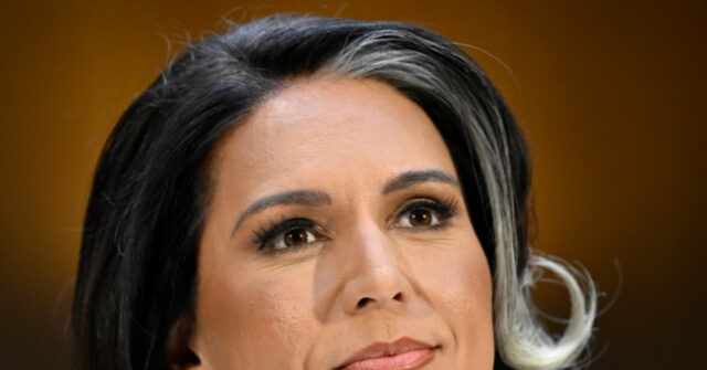 Tulsi Gabbard at Munich Security Conference: Trump Will Be 'Peacemaker'