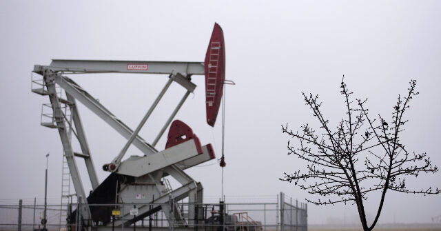 Trump's Call for Imported Oil Tariff Draws Support from Small Well Owners