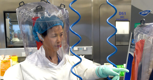 NextImg:Research Team Led by 'Batwoman' Finds Bat Coronavirus in China