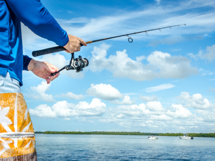 Fishing and Reeling in in the Everglades (iStock/Getty Images)