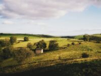 Great Reset: Tenth of English Farmland Needs to Be ‘Rewilded’ for Green Agenda, Says Go