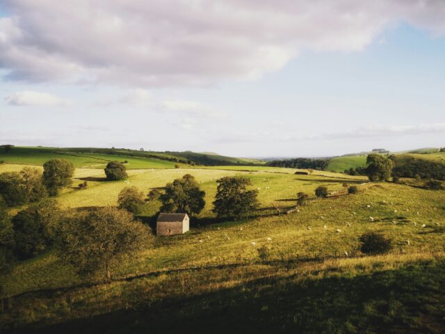 Great Reset: Tenth of English Farmland Needs to Be ‘Rewilded’ for Green Agenda, Says Go