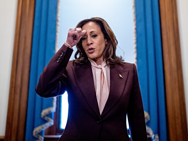 WASHINGTON, DC - JANUARY 06: U.S. Vice President Kamala Harris speaks to reporters as she