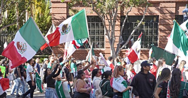 LA Times Writer Celebrates Mexican Flags at Pro-Migration Street Protests