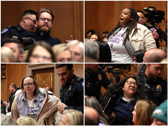 https://www.gettyimages.com/detail/news-photo/protester-disrupts-linda-mcmahon-president-d