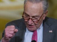 Watch: Chuck Schumer, Dems Attack Musk over DOGE Reviewing Treasury Payment System