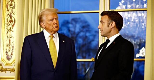 Macron to Meet Trump with List of Peace 'Proposals' for Ukraine